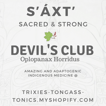 Load image into Gallery viewer, Devil's Club Extract